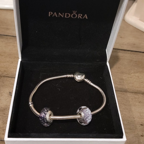 NWOT Authentic Pandora Bracelet and Charms - Picture 7 of 8